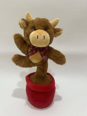 गा रही और नाच रही हाइलैंड गाय