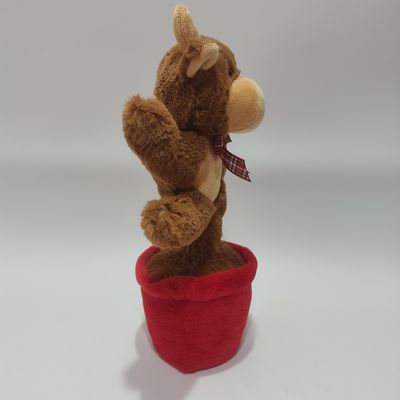 गा रही और नाच रही हाइलैंड गाय